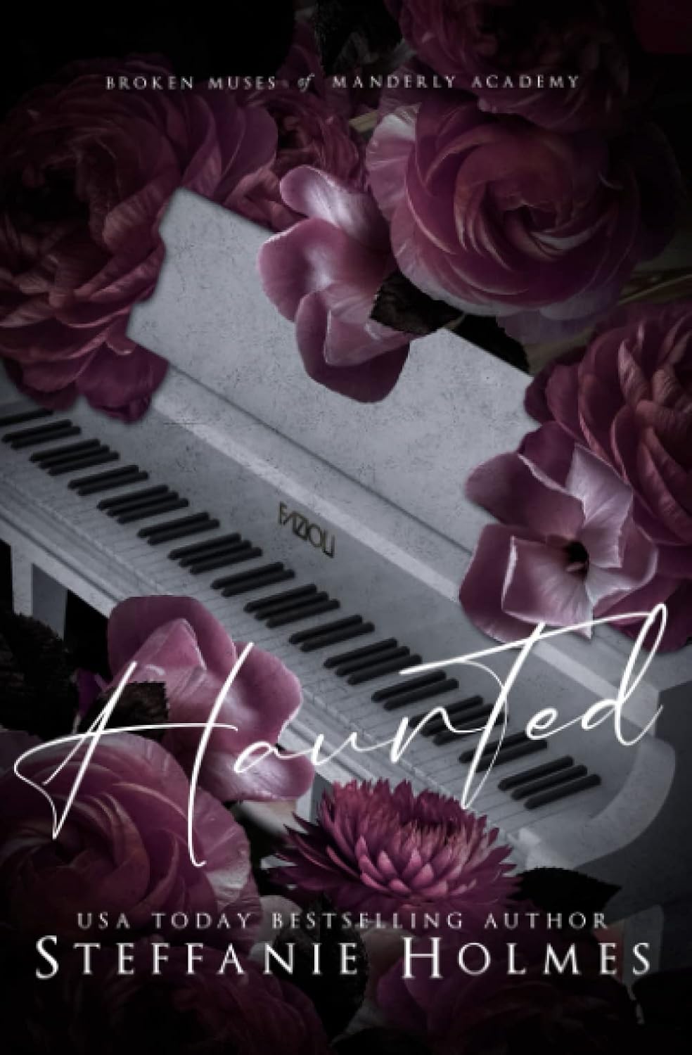 Book cover titled 'Haunted' by Steffanie Holmes